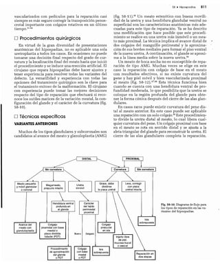 CLINICA QUIRURGICA - Cirugia pediatrica   ashcraft