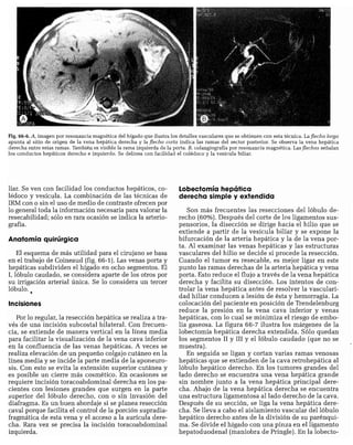 CLINICA QUIRURGICA - Cirugia pediatrica   ashcraft