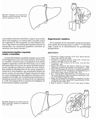 CLINICA QUIRURGICA - Cirugia pediatrica   ashcraft