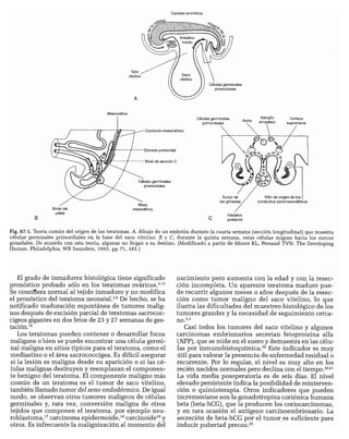 CLINICA QUIRURGICA - Cirugia pediatrica   ashcraft