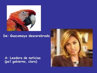 De:  Guacamaya descerebrada A: Leedora de noticias  (pa’l gobierno, claro) 