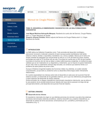 Cirugia plastica secpre