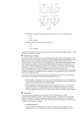 Cirugia plastica secpre