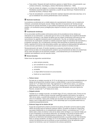 q Fase celular. Después del injerto tendinoso aparece un tejido fibroso y de granulación, que
contiene eritrocitos, macrófagos y células inflamatorias (Gelberman –1985)
q Fase de síntesis de colágeno. La síntesis de colágeno se detecta a los 6 días. El número de
fibroblastos aumenta hasta las 2 semanas y a partir de aquí disminuye. Posteriormente se
reorientan las fibras, (Potenza-1962)
q Fase de remodelación. La función del tendón injertado depende sobre todo esta fase, en la
que se establecen las uniones peritendinosas a las 8 semanas.
Nutrición tendinosa
Los tendones se alimentan por un doble sistema de vascularización directa y por un sistema de
inhibición, proveniente del líquido sinovial. Weber describió el mecanismo de “bomba sinovial”,
como forma de nutrición del tendón, lo que justifica la reparación de la vaína sinovial, cuando es
posible, y la movilización precoz protegida para mejorar la nutrición y por tanto, la cicatrización del
tendón.
Cicatrización tendinosa
En la comunidad científica existe controversia acerca de la procedencia de las células que
intervienen en la cicatrización. La discusión gira en torno a si las células de la superficie del tendón
(cicatrización intrínseca), o las células de tejidos que los rodean (cicatrización extrínseca) son los
que producen los agentes necesarios para la cicatrización. Hoy día, se mantiene que ambos
mecanismos de cicatrización coexisten en distinta proporción según la naturaleza del traumatismo y
la agresión quirúrgica. Así, la cicatrización intrínseca será dominante en presencia de sección
franca, reparada de la forma más atraumática posible, que restituya la estanqueidad del epitendón y
la vaína sinovial, permitiendo una movilización precoz para reactivar la bomba sinovial.
Revascularización del injerto: El tendón injertado es avascular inicialmente, por lo tanto su
supervivencia se debe a la revascularización posterior que primariamente se debe a la anastomosis
de los vasos del injerto con los del lecho receptor, y secundariamente por el crecimiento de
capilares que establecen una red vascular nueva.
Zonas donantes
Deben tener las siguientes características:
s estar siempre presente.
s ser consistente en sus 3 planos.
s suficientemente largo.
s accesible.
s no dejar déficit funcional en la zona donante.
s fuerte en su nueva función.
q Palmar menor
Se trata de un vestigio muscular de 10-12 cm de largo que se encuentra inmediatamente por
debajo de la fascia entre el palmar mayor y cubital anterior, y que se hace presente al
oponer el 1º y 5º dedo de la mano. Hay agenesia en un 20% de los casos, y su ausencia
predispone a la del delgado plantar. Tiene como ventaja tener un acceso excelente y no
dejar secuelas funcionales; y como desventaja el ser demasiado corto para injertos de
flexores, excepto del 1º y 5º dedos de la mano.
q Delgado plantar
También es un vestigio muscular, con tendón largo (10 cm) y músculo corto. Forma con los
gastronemios y el sóleo el grupo muscular superficial posterior de la pierna. No existe en
18% de los casos, y cuando esta presente en un 60% esta insertado en el T. Aquiles y en un
32% en el calcáneo. Tiene como ventaja que se puede usar para injertos de flexores de los
dedos y que no deja déficit funcional; y como desventaja que no es posible determinar su
existencia preoperatoriamente.
q Extensor largo de los dedos del pie
Surge del compartimento anterior proximal de la pierna. El tendón se forma sobre la parte
inferior de la tibia hacia el retináculo extensor inferior. El tendón se divide en 4 fascículos,
que pasan distalmente en el compartimento extensor inferior. Los tendones de 2º, 3º y 4º
dedos estan unidos al extensor corto de los dedos antes de llegar a sus inserción distal, por
lo que al extraerlos no se produce disfunción; sin embargo si se precias el tendon del 5º
dedo, su cabo distal debe anastomosarse al extensor corto. Tiene como ventajas su
presencia es fácilmente demostrable preoperatoriamente; se pueden extraer tres tendones;
tiene un acceso excelente y es largo (12-15 cm de longitud). Sus desvantajas son el gran
número de adherencias que se producen ya que esnecesario privar del epitendon para
separar los tendones y que son necesarios dos campos operatorios.
 