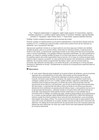 Cirugia plastica secpre