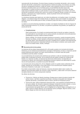 Cirugia plastica secpre