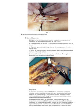Cirugia plastica secpre