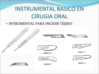 INSTRUMENTAL BASICO EN CIRUGIA ORAL INTRUMENTAL PARA INCIDIR TEJIDO 