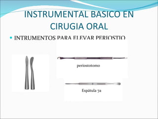INSTRUMENTAL BASICO EN CIRUGIA ORAL INTRUMENTOS PARA ELEVAR PERIOSTIO Espátula 7a periostotomo 
