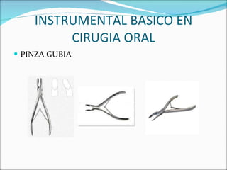 INSTRUMENTAL BASICO EN CIRUGIA ORAL PINZA GUBIA 
