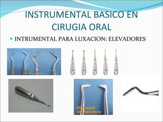INSTRUMENTAL BASICO EN CIRUGIA ORAL INTRUMENTAL PARA LUXACION: ELEVADORES 