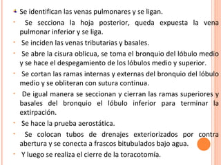 Se identifican las venas pulmonares y se ligan.
•     Se secciona la hoja posterior, queda expuesta la vena
    pulmonar inferior y se liga.
•    Se inciden las venas tributarias y basales.
•    Se abre la cisura oblicua, se toma el bronquio del lóbulo medio
    y se hace el despegamiento de los lóbulos medio y superior.
•    Se cortan las ramas internas y externas del bronquio del lóbulo
    medio y se obliteran con sutura continua.
•    De igual manera se seccionan y cierran las ramas superiores y
    basales del bronquio el lóbulo inferior para terminar la
    extirpación.
•    Se hace la prueba aerostática.
•     Se colocan tubos de drenajes exteriorizados por contra
    abertura y se conecta a frascos bitubulados bajo agua.
•    Y luego se realiza el cierre de la toracotomía.
 