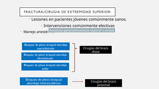 FRACTURA/CIRUGIA DE EXTREMIDAD SUPERIOR:
• Lesiones en pacientes jóvenes comúnmente sanos.
• Intervenciones comúnmente electivas
• Manejo anestésico:
Anestesia general/Anestesia regional o ambas
Bloqueo de plexo braquial abordaje
supraclavicular
Bloqueo de plexo braquial abordaje
infraclavicular
Bloqueo de plexo braquial abordaje
axilar
Cirugías del brazo
distal
Cirugías del brazo
proximal
Bloqueo de plexo braquial
abordaje interescalénico
 