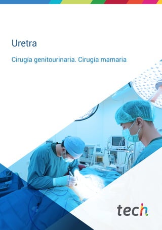 Uretra
Cirugía genitourinaria. Cirugía mamaria
 