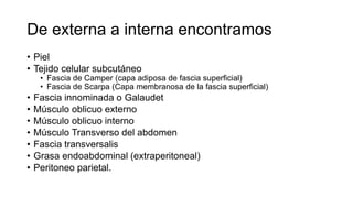 De externa a interna encontramos
• Piel
• Tejido celular subcutáneo
• Fascia de Camper (capa adiposa de fascia superficial)
• Fascia de Scarpa (Capa membranosa de la fascia superficial)
• Fascia innominada o Galaudet
• Músculo oblicuo externo
• Músculo oblicuo interno
• Músculo Transverso del abdomen
• Fascia transversalis
• Grasa endoabdominal (extraperitoneal)
• Peritoneo parietal.
 