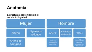 Anatomía
Estructuras contenidas en el
conducto inguinal
Mujer
Arteria
Arteria de
Sampson
Ligamento
redondo
Hombre
Arteria
Testicular,
cremastérica,
deferencial
Conducto
deferente
Venas
Plexo
pampiniforme,
testicular,
cremastérica,
deferencial
 