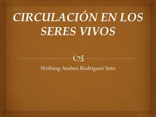 Wolfang Andres Rodriguez Soto
 