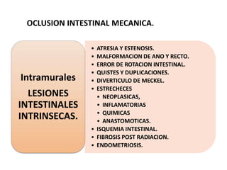 OCLUSION INTESTINAL MECANICA.

Intramurales
LESIONES
INTESTINALES
INTRINSECAS.

•
•
•
•
•
•

ATRESIA Y ESTENOSIS.
MALFORMACION DE ANO Y RECTO.
ERROR DE ROTACION INTESTINAL.
QUISTES Y DUPLICACIONES.
DIVERTICULO DE MECKEL.
ESTRECHECES
• NEOPLASICAS,
• INFLAMATORIAS
• QUIMICAS
• ANASTOMOTICAS.
• ISQUEMIA INTESTINAL.
• FIBROSIS POST RADIACION.
• ENDOMETRIOSIS.

 