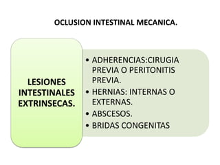 OCLUSION INTESTINAL MECANICA.

LESIONES
INTESTINALES
EXTRINSECAS.

• ADHERENCIAS:CIRUGIA
PREVIA O PERITONITIS
PREVIA.
• HERNIAS: INTERNAS O
EXTERNAS.
• ABSCESOS.
• BRIDAS CONGENITAS

 