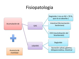 Fisiopatologia
Deglutido ( rico en N2 > 70 %,
que no se absorbe )
Acumulación de
GAS

Intestinal (fermentación
bacteriana)

CO2 (neutralización del
bicarbonato)

Deglutido
LIQUIDO
Ausencia de
motilidad

Secreción salival, gástrica,
biliopancreática, intestinal

 