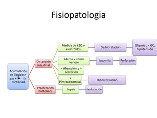 Fisiopatologia
Pérdida de H2O y
electrolitos

Distención
intestinal
Acumulación
de liquidos y
gas +  de
motilidad

Edema y estasis
venoso

Isquemia

< Absorción y >
secreción
>
Pintraabdominal

Proliferación
bacteriana

Deshidratación

Sepsis

Hipoventilación
Perforación

Oliguria , < GC,
hipotensión

Perforación

 