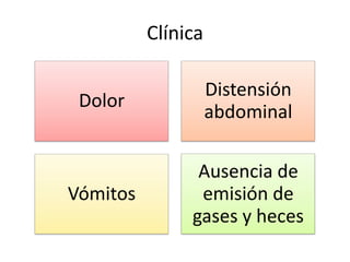 Clínica
Dolor

Distensión
abdominal

Vómitos

Ausencia de
emisión de
gases y heces

 