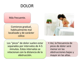 DOLOR
Más frecuente.

Comienzo gradual,
habitualmente mal
localizado y de carácter
cólico
Los “picos” de dolor suelen estar
separados por intervalos de 4-5
minutos. Estos intervalos se
relacionan con la distancia de la
obstrucción.

• Así, la frecuencia de
picos de dolor será
menor en las
obstrucciones bajas y
mayor en las altas.

 