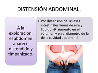 DISTENSIÓN ABDOMINAL.
A la
exploración,
el abdomen
aparece
distendido y
timpanizado.

• Por distensión de las asas
intestinales llenas de aire y
líquido  aumento en el
volumen y en el diámetro de la
de la cavidad abdominal

 