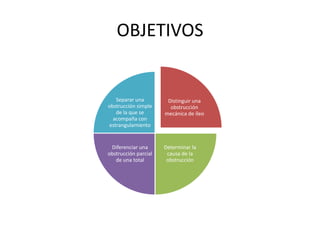 OBJETIVOS

Separar una
obstrucción simple
de la que se
acompaña con
estrangulamiento

Distinguir una
obstrucción
mecánica de íleo

Diferenciar una
obstrucción parcial
de una total

Determinar la
causa de la
obstrucción

 