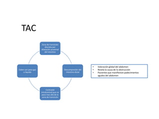 TAC
Zona de transición
discreta por
dilatación proximal
del intestino

Colon con poco gas
o liquido

Descompresión del
intestino distal

Contraste
intraluminal que no
pasa mas allá de la
zona de transición

•
•
•

Valoración global del abdomen
Revela la causa de la obstrucción
Pacientes que manifiestan padecimientos
agudos del abdomen

 