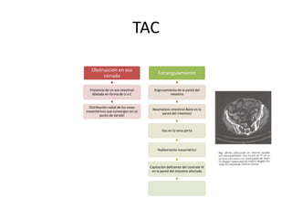 TAC
Obstrucción en asa
cerrada

Estrangulamiento

Presencia de un asa intestinal
dilatada en forma de U o C

Engrosamiento de la pared del
intestino

Distribución radial de los vasos
mesentéricos que convergen en un
punto de torsión

Neumatosis intestinal 8aire en la
pared del intestino)

Gas en la vena porta

Nublamiento mesentérico

Capitación deficiente del contrate IV
en la pared del intestino afectado

 