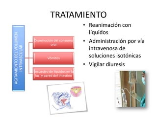 AGITAMIENTO DEL VOLUMEN
INTRVASCULAR

TRATAMIENTO
Disminución del consumo
oral

Vómitos

Secuestro de líquidos en la
luz y pared del intestino

• Reanimación con
líquidos
• Administración por vía
intravenosa de
soluciones isotónicas
• Vigilar diuresis

 