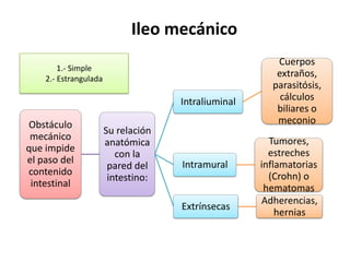 Ileo mecánico
1.- Simple
2.- Estrangulada

Intraliuminal
Obstáculo
mecánico
que impide
el paso del
contenido
intestinal

Su relación
anatómica
con la
pared del
intestino:

Intramural

Extrínsecas

Cuerpos
extraños,
parasitósis,
cálculos
biliares o
meconio
Tumores,
estreches
inflamatorias
(Crohn) o
hematomas
Adherencias,
hernias

 