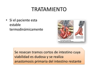 TRATAMIENTO
• Si el paciente esta
estable
termodinámicamente

Se resecan tramos cortos de intestino cuya
viabilidad es dudosa y se realiza
anastomosis primaria del intestino restante

 