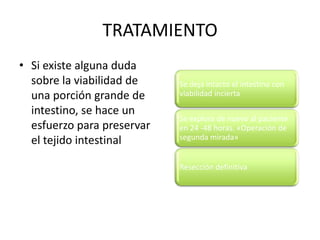 TRATAMIENTO
• Si existe alguna duda
sobre la viabilidad de
una porción grande de
intestino, se hace un
esfuerzo para preservar
el tejido intestinal

Se deja intacto el intestino con
viabilidad incierta
Se explora de nuevo al paciente
en 24 -48 horas. «Operación de
segunda mirada»

Resección definitiva

 