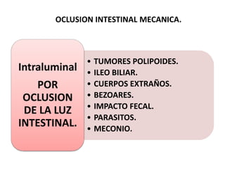 OCLUSION INTESTINAL MECANICA.

Intraluminal
POR
OCLUSION
DE LA LUZ
INTESTINAL.

•
•
•
•
•
•
•

TUMORES POLIPOIDES.
ILEO BILIAR.
CUERPOS EXTRAÑOS.
BEZOARES.
IMPACTO FECAL.
PARASITOS.
MECONIO.

 