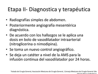 Etapa II- Diagnostica y terapéutica
• Radiografías simples de abdomen.
• Posteriormente angiografía mesentérica
diagnóstica.
• De acuerdo con los hallazgos se le aplica una
dosis en bolo de vasodilatador intraarterial
(nitroglicerina o nimodipina).
• Se toma un nuevo control angiográfico.
• Se deja un catéter a nivel de la AMS para la
infusión continua del vasodilatador por 24 horas.
Tratado de Cirugía General, Asociación Mexicana de Cirugía General , Consejo Mexicano de Cirugía General 2da

 