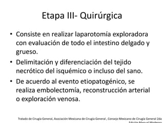 Etapa III- Quirúrgica
• Consiste en realizar laparotomía exploradora
con evaluación de todo el intestino delgado y
grueso.
• Delimitación y diferenciación del tejido
necrótico del isquémico o incluso del sano.
• De acuerdo al evento etiopatogénico, se
realiza embolectomía, reconstrucción arterial
o exploración venosa.
Tratado de Cirugía General, Asociación Mexicana de Cirugía General , Consejo Mexicano de Cirugía General 2da

 