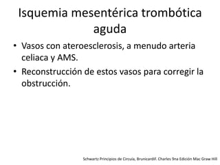 Isquemia mesentérica trombótica
aguda
• Vasos con ateroesclerosis, a menudo arteria
celiaca y AMS.
• Reconstrucción de estos vasos para corregir la
obstrucción.

Schwartz Principios de Circuía, BrunicardiF. Charles 9na Edición Mac Graw Hill

 