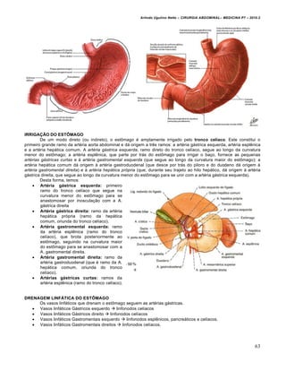 Arlindo Ugulino Netto – CIRURGIA ABDOMINAL– MEDICINA P7 – 2010.2
63
IRRIGAÇÃO DO ESTÔMAGO
De um modo direto (ou indireto), o estômago é amplamente irrigado pelo tronco celíaco. Este constitui o
primeiro grande ramo da artéria aorta abdominal e dá origem a três ramos: a artéria gástrica esquerda, artéria esplênica
e a artéria hepática comum. A artéria gástrica esquerda, ramo direto do tronco celíaco, segue ao longo da curvatura
menor do estômago; a artéria esplênica, que parte por trás do estômago para irrigar o baço, fornece as pequenas
artérias gástricas curtas e à artéria gastromental esquerda (que segue ao longo da curvatura maior do estômago); a
artéria hepática comum dá origem à artéria gastroduodenal (que desce por trás do piloro e do duodeno dá origem à
artéria gastromental direita) e à artéria hepática própria (que, durante seu trajeto ao hilo hepático, dá origem à artéria
gástrica direita, que segue ao longo da curvatura menor do estômago para se unir com a artéria gástrica esquerda).
Desta forma, temos:
 Artéria gástrica esquerda: primeiro
ramo do tronco celíaco que segue na
curvatura menor do estômago para se
anastomosar por inosculação com a A.
gástrica direita
 Artéria gástrica direita: ramo da artéria
hepática própria (ramo da hepática
comum, oriunda do tronco celíaco).
 Artéria gastromental esquerda: ramo
da artéria esplênica (ramo do tronco
celíaco), que brota posteriormente ao
estômago, seguindo na curvatura maior
do estômago para se anastomosar com a
A. gastromental direita.
 Artéria gastromental direita: ramo da
artéria gastroduodenal (que é ramo da A.
hepática comum, oriunda do tronco
celíaco).
 Artérias gástricas curtas: ramos da
artéria esplênica (ramo do tronco celíaco).
DRENAGEM LINFÁTICA DO ESTÔMAGO
Os vasos linfáticos que drenam o estômago seguem as artérias gástricas.
 Vasos linfáticos Gástricos esquerdo  linfonodos celíacos
 Vasos linfáticos Gástricos direito  linfonodos celíacos
 Vasos linfáticos Gastromentais esquerdo  linfonodos esplênicos, pancreáticos e celíacos.
 Vasos linfáticos Gastromentais direitos  linfonodos celíacos.
 