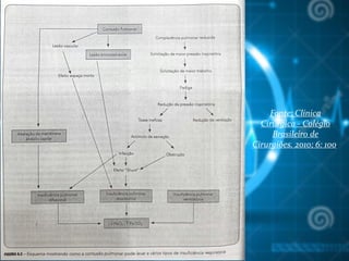 Fonte: Clínica
Cirúrgica - Colégio
Brasileiro de
Cirurgiões. 2010; 6: 100.
 