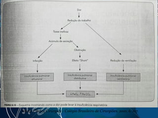 Fonte: Clínica Cirúrgica - Colégio Brasileiro de Cirurgiões. 2010; 6: 107.
 