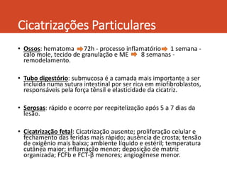 Cicatrizações Particulares
• Ossos: hematoma 72h - processo inflamatório 1 semana -
calo mole, tecido de granulação e ME 8 semanas -
remodelamento.
• Tubo digestório: submucosa é a camada mais importante a ser
incluída numa sutura intestinal por ser rica em miofibroblastos,
responsáveis pela força tênsil e elasticidade da cicatriz.
• Serosas: rápido e ocorre por reepitelização após 5 a 7 dias da
lesão.
• Cicatrização fetal: Cicatrização ausente; proliferação celular e
fechamento das feridas mais rápido; ausência de crosta; tensão
de oxigênio mais baixa; ambiente líquido e estéril; temperatura
cutânea maior; inflamação menor; deposição de matriz
organizada; FCFb e FCT-β menores; angiogênese menor.
 
