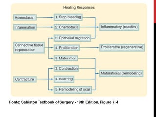 Fonte: Sabiston Textbook of Surgery - 19th Edition, Figure 7 -1
 