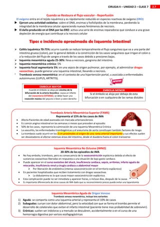 2.7
CIRUGIA II – UNIDAD 2 – CLASE 7
Cuando se Restaura el flujo vascular - Reperfusión
El oxígeno entra en el tejido isquémico y es rápidamente reducido en especies reactivas de oxígeno (ERO)
 Ejercen una actividad oxidativa: sobre el DNA, enzimas y fosfolípidos de la membrana, perdiendo la
integridad de la membrana celular apareciendo nuevos fenómenos de necrosis.
 El daño producido en el DNA por las ERO: activa una serie de enzimas reparadoras que conduce a una grave
depleción de energía que contribuye a la necrosis celular
Tipos e incidencia aproximada de Isquemia Intestinal
 Colitis isquémica 70-75%: ocurre cuando se reduce temporalmente el flujo sanguíneo que va a una parte del
intestino grueso (colon), por lo general debido a la constricción de los vasos sanguíneos que irrigan el colon o
a la reducción del flujo de sangre a través de los vasos debido a presiones bajas.
 Isquemia mesentérica aguda 25-30%: lleva a necrosis, gangrena del intestino.
 Isquemia mesentérica crónica: 5%
 Isquemia focal segmentaria 5%: en una sepsis de origen pulmonar, por ejemplo, al administrar drogas
vasoactivas, puede generar una isquemia intestinal, llevando a necrosis.

Trombosis venosa mesentérica: en el contexto de una hipertensión portal, u asociada a enfermedades
autoinmunes (LUPUS, ARTRITIS).
EMBOLIA MAYOR
Cuando el émbolo se aloja por encima de la
bifurcación de la arteria ileocólica: causa un infarto
del mesenterio EXTENSO, se debe hacer una
resección masiva del yeyuno e íleon y colon derecho
EMBOLIA MENOR
Si el émbolo se aloja por debajo de esta
bifurcación o en cualquiera de las ramas distales
Trombosis Arteria Mesentérica Superior (TAMS)
Representa el 15% de los casos de IMA
 Afecta Pacientes de edad avanzada con marcada arterioesclerosis
 Es común angina intestinal en las semanas o meses que preceden al episodio
 50% de los casos, representa la culminación de una Isquemia Mesentérica Crónica
 La vasculitis, las enfermedades trombogénicas y el aneurisma de aorta constituyen también factores de riesgo.
 La trombosis suele ocurrir en los 2 cm proximales al origen de una rama arterial importante y sus efectos suelen
ser devastadores al afectar extensas áreas del intestino, desde el duodeno hasta el colon transverso
Isquemia Mesentérica No Oclusiva (IMNO)
20-30% de los episodios de IMA
 No hay embolia, trombosis, pero es consecuencia de la vasoconstricción esplácnica debida al efecto de
sustancias vasoactivas liberadas en respuesta a una situación de bajo gasto cardiaco.
 Puede aparecer en el curso evolutivo del shock, insuficiencia cardíaca, sepsis, arritmias, infarto agudo de
miocardio, insuficiencia renal y cirugía cardíaca o abdominal mayor
 Por liberación de endotelina (intensa vasoconstricción en el territorio esplácnico)
 En pacientes hospitalizados que reciben tratamiento con drogas vasoactivas
 La dobutamina es la que causa mayor vasoconstricción esplácnica.
 Esta complicación puede no ser inmediata y aparecer horas, o incluso días, después de la causa.
 Es importante diferenciarla de otras causas de IMA dado que su reconocimiento precoz puede evitar una laparotomía
Isquemia Mesentérica Aguda de Origen Venoso
Trombosis venosa mesentérica, incluye tres variantes:
1) Aguda: se comporta como una isquemia arterial y representa el 10% de casos
2) Subagudas: cursan con dolor abdominal, pero la velocidad con que se forma el trombo permite el
desarrollo de colaterales que evitan el infarto intestinal (paciente tiene mas probabilidad de sobrevivir).
3) Crónicas: suelen ser indoloras y a menudo se descubren, accidentalmente o en el curso de una
hemorragia digestiva por varices esofagogástricas
 