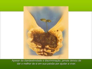 Apesar da clandestinidade e discriminação, jamais deixou deApesar da clandestinidade e discriminação, jamais deixou de
dar o melhor de si em sua paixão por ajudar a viver.dar o melhor de si em sua paixão por ajudar a viver.
 