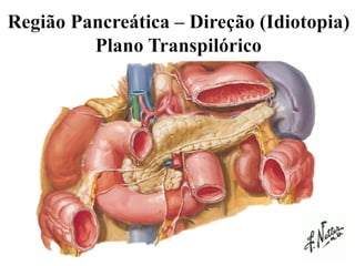 Anatomia Ductal
Tumoração Inflamatória
 