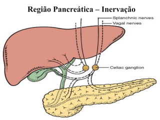 Pancreatite Aguda
História Natural
1000 pcts
700 Edematosa 300 Necrotizante
185
Não Infectada
115
INFECTADA
10
ABSCESSO
Fu...