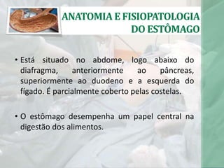 • Está situado no abdome, logo abaixo do
diafragma, anteriormente ao pâncreas,
superiormente ao duodeno e a esquerda do
fígado. É parcialmente coberto pelas costelas.
• O estômago desempenha um papel central na
digestão dos alimentos.
ANATOMIA E FISIOPATOLOGIA
DO ESTÔMAGO
 