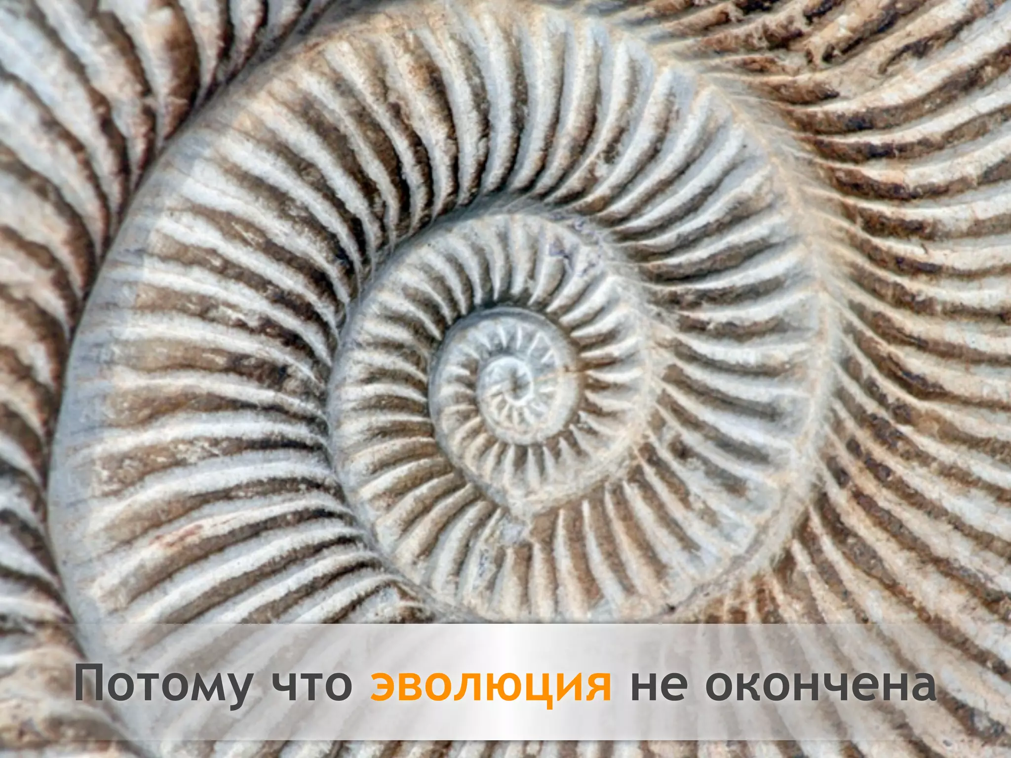 Двигайтесь!